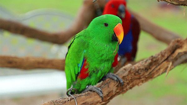 成都市暑假亲子游玩地点推荐,暑假成都亲子游推荐景点