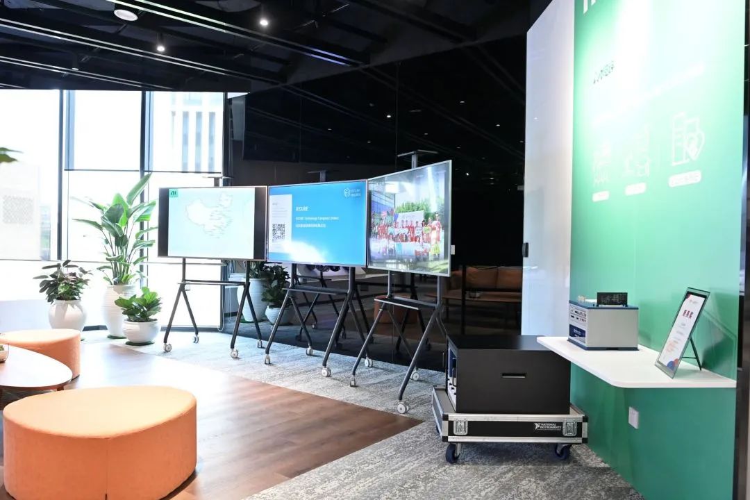 直击引领区张江,直击引领区浦东