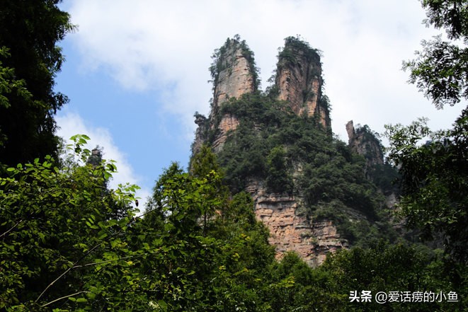 去张家界需要注意什么,中老年张家界旅游注意事项