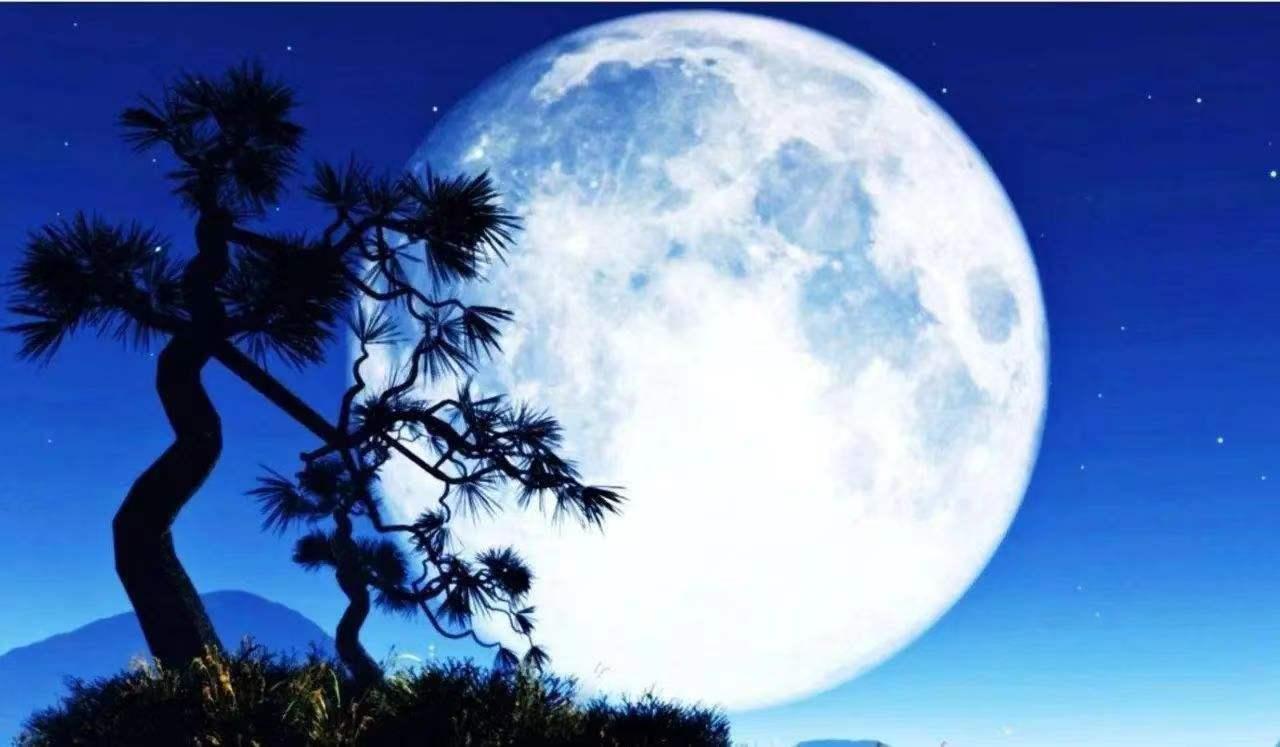 描写中秋节的经典诗句大全,关于中秋节的优美诗句纯文字