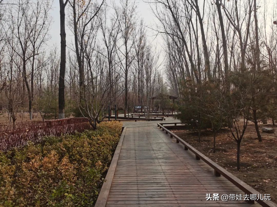 骑行国家森林公园,徒步骑行森林公园