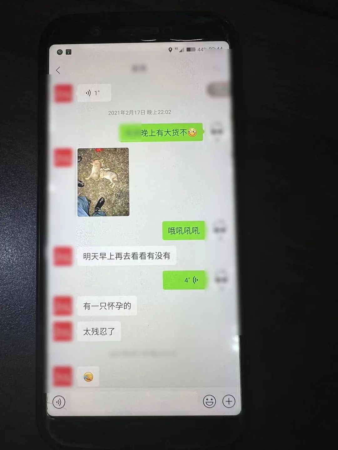 弋阳一男子网购滑膛弹弓、热成像仪等非法狩猎，还发给朋友炫耀！