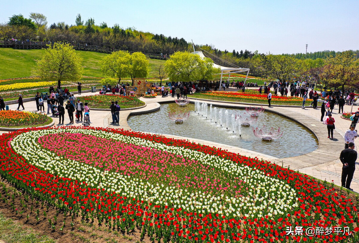 沈阳植物园沈阳世博园,沈阳世博园和植物园区别