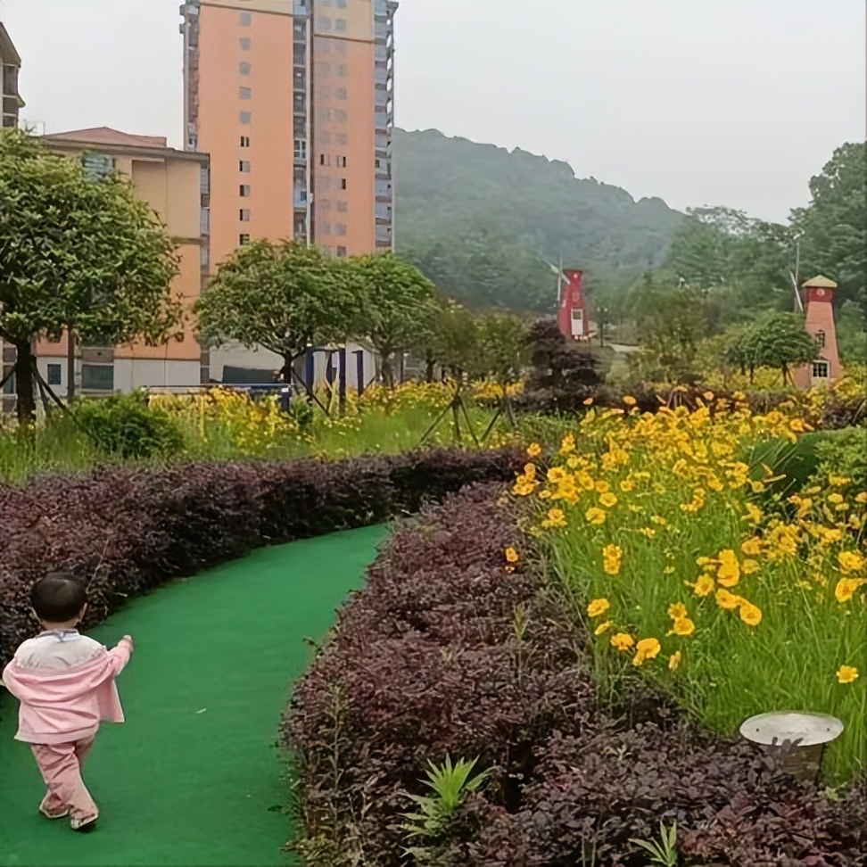 安居区的历史变迁,安居古镇记录日常