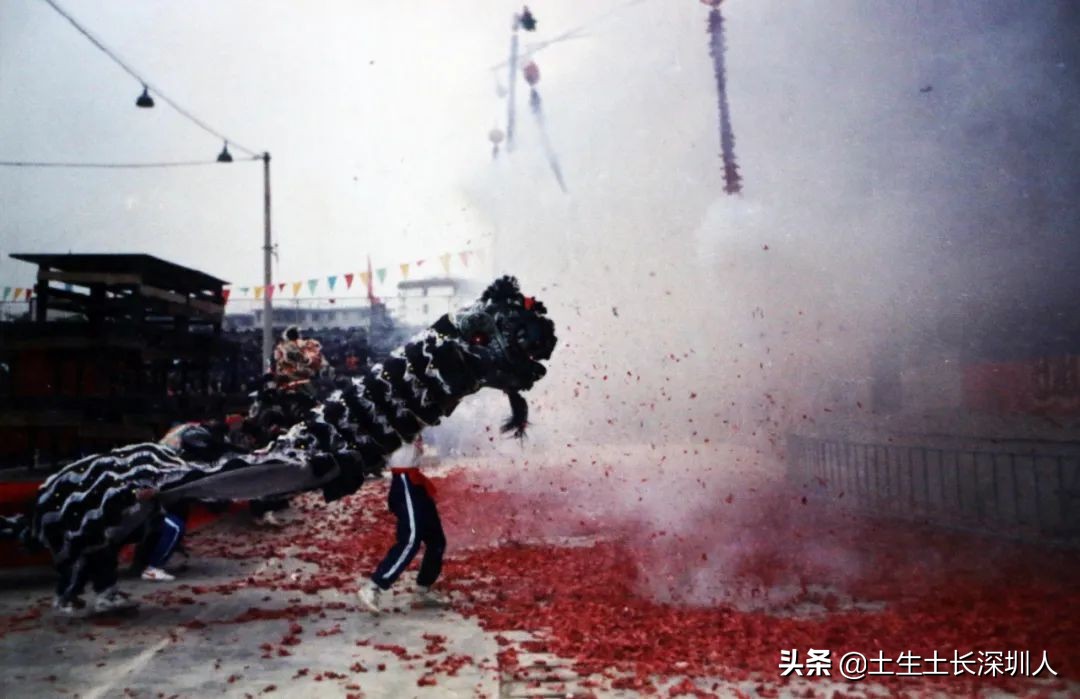 醒狮和瑞狮的区别在哪,醒狮的运动特点