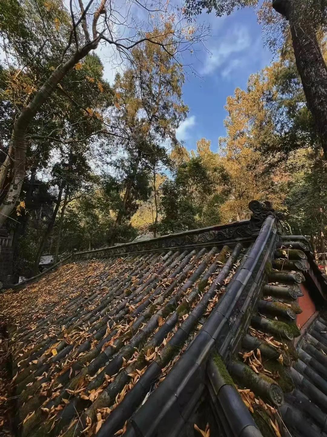 耿直的人跟圆滑相处会怎么样,直爽的人和圆滑的人