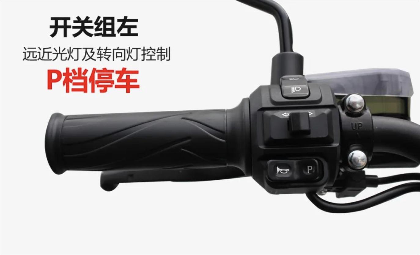 祥龙电动车有哪些新款,祥龙电动车能跑多少公里