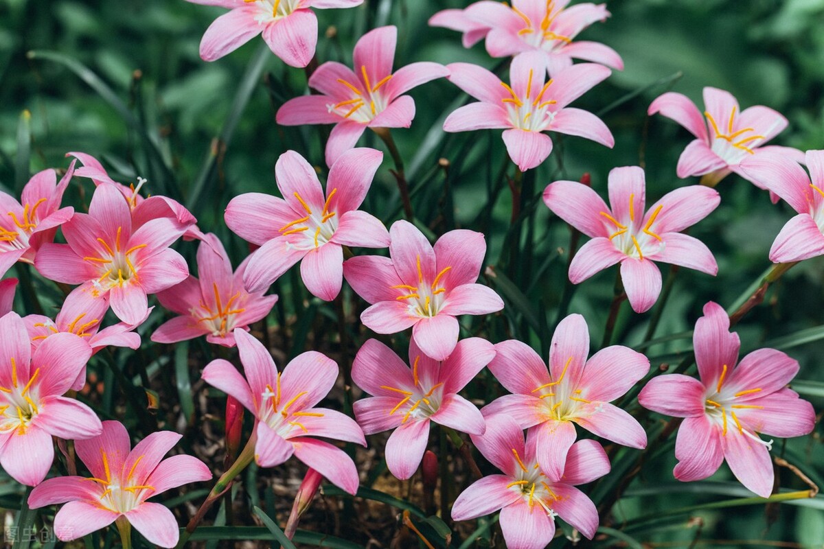 有种女人让男人爱到上瘾,4招轻松成为让男人上瘾的女人