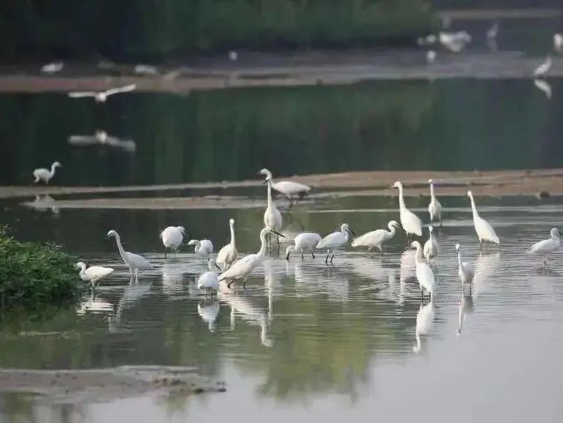 西安炎炎夏日游玩攻略,西安避暑纳凉好去处都市快报