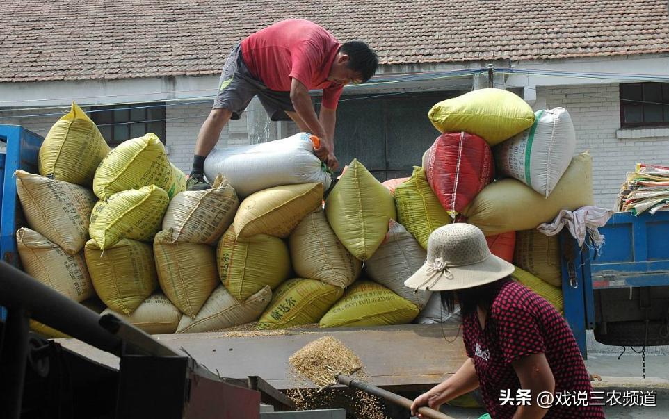 农民的种地补贴看看你能领多少,农民种地的补贴3月1号可以领了吗