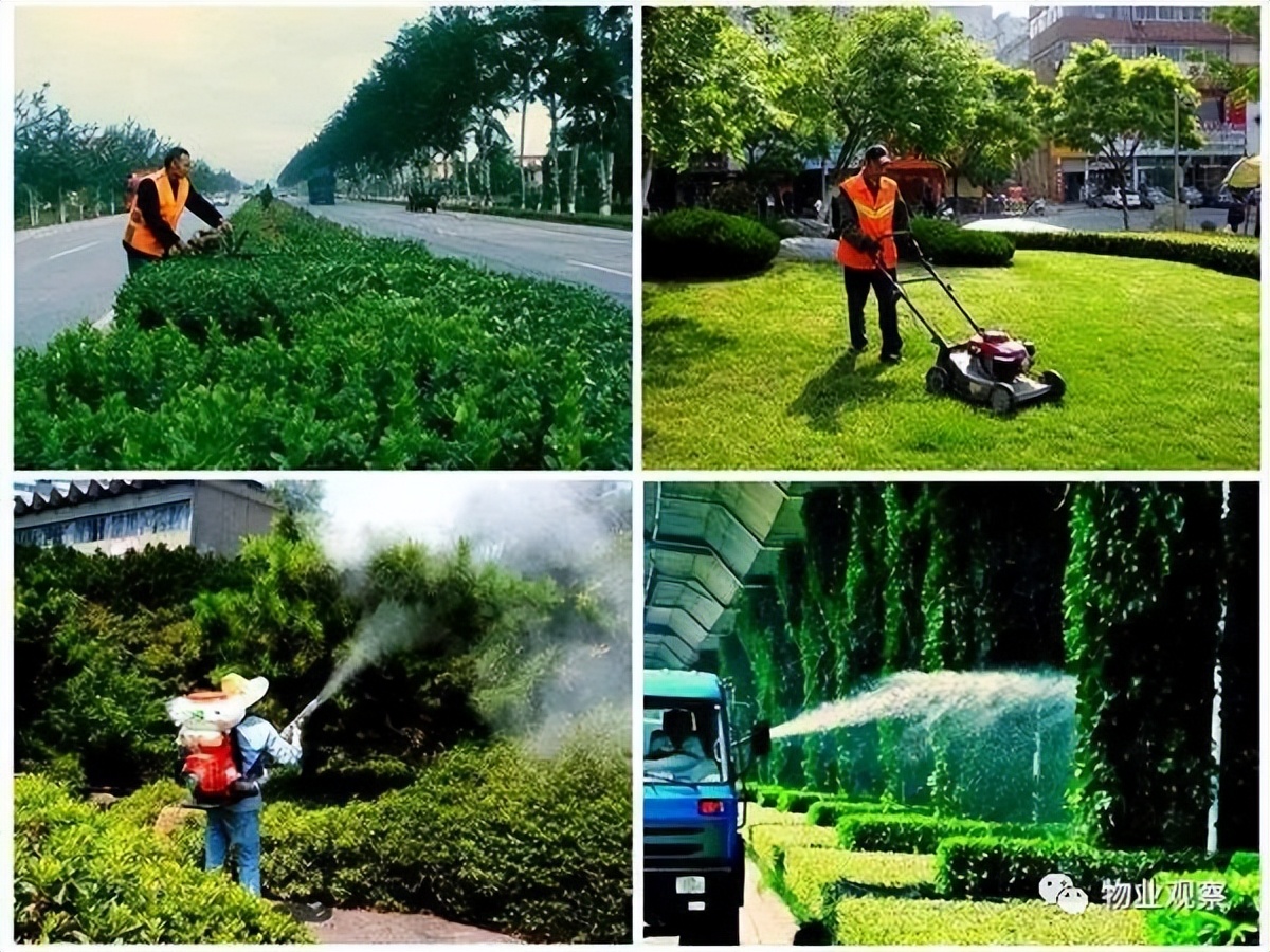 物业保洁行为规范,物业绿化养护标准和考核