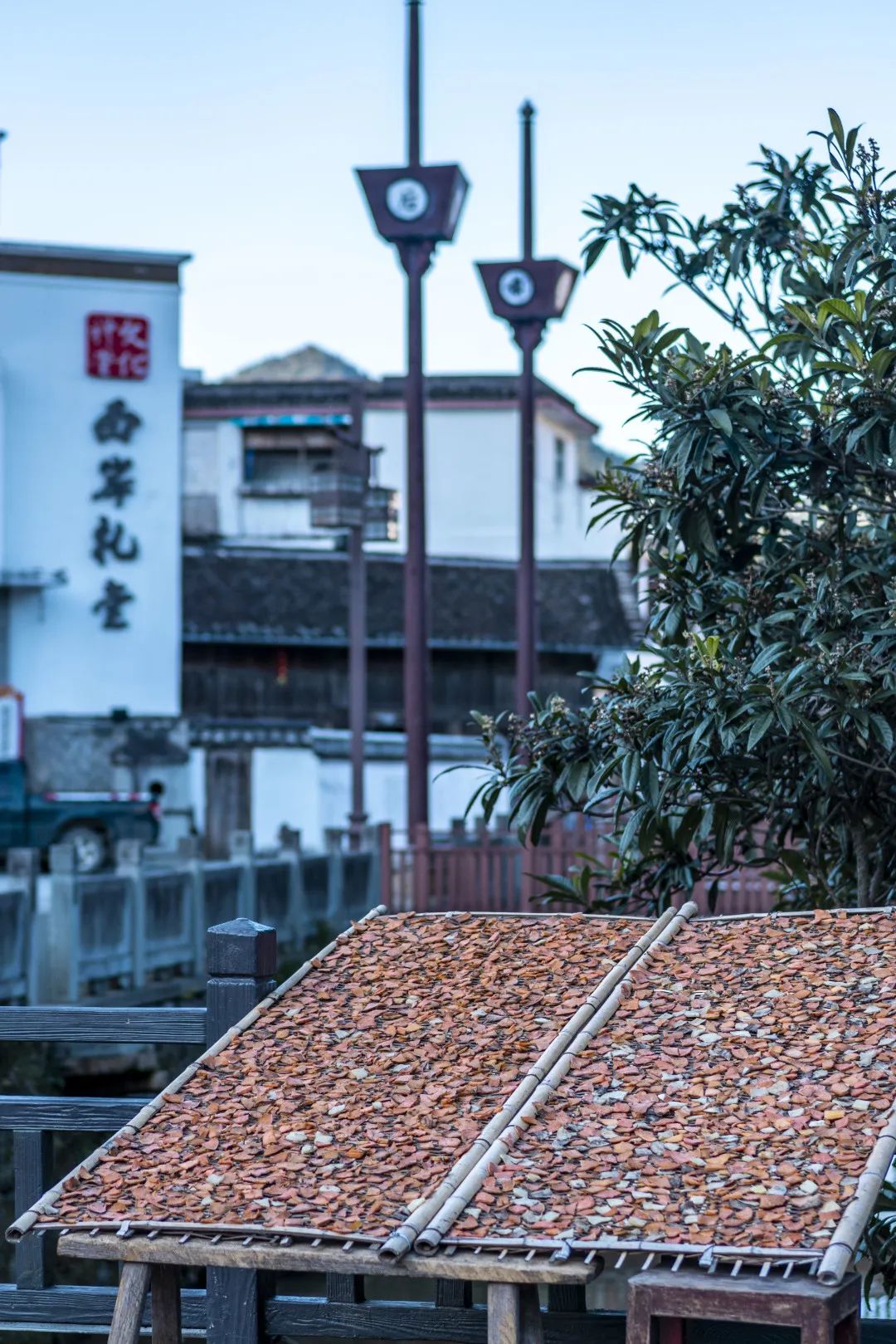 丽水游玩攻略一天,丽水游玩攻略2日游