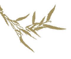 阆中诗词名句大全,阆中古城诗词大全