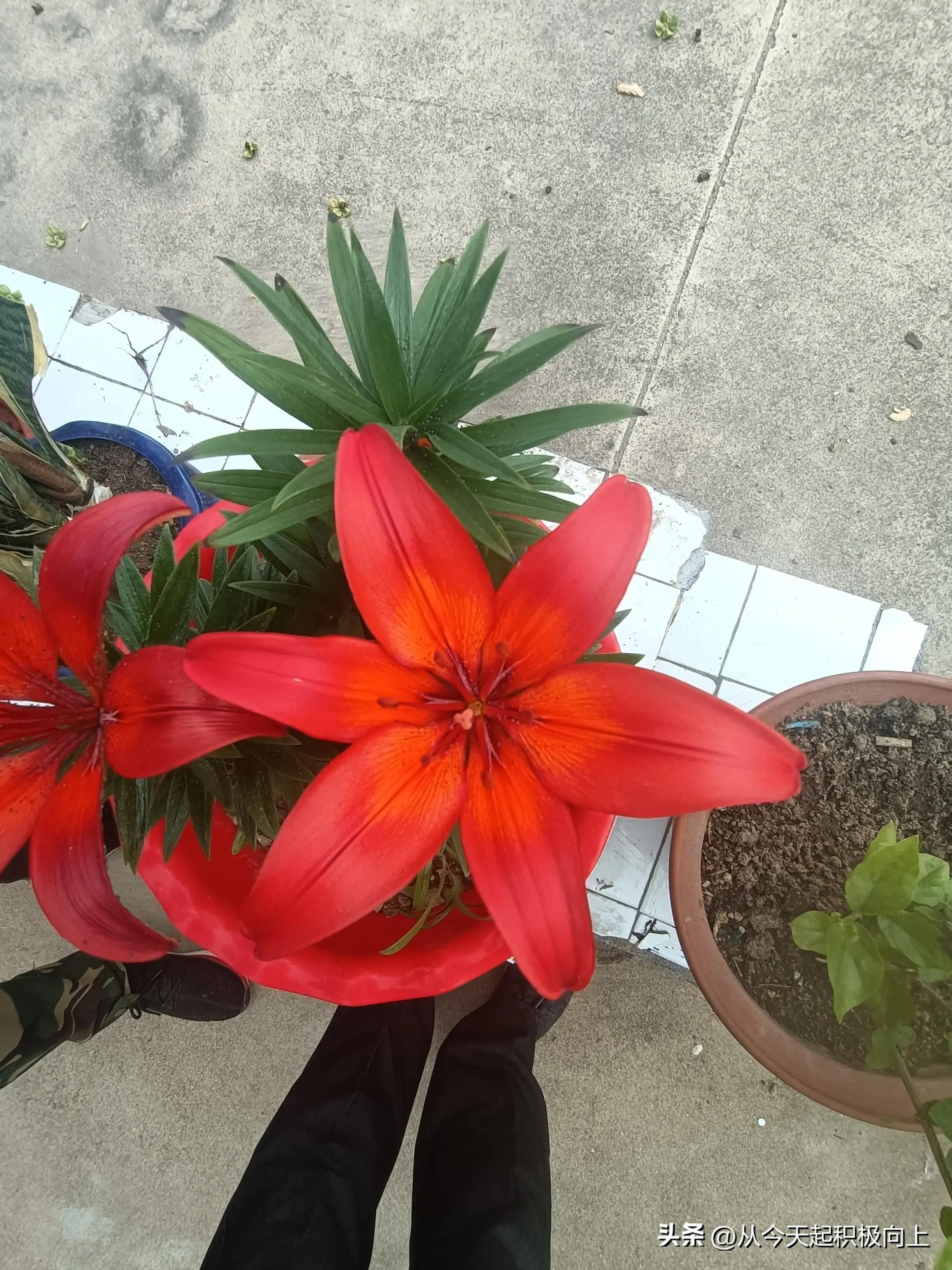 家庭主妇如何提高自己的价值,家庭主妇应该怎么提高收入