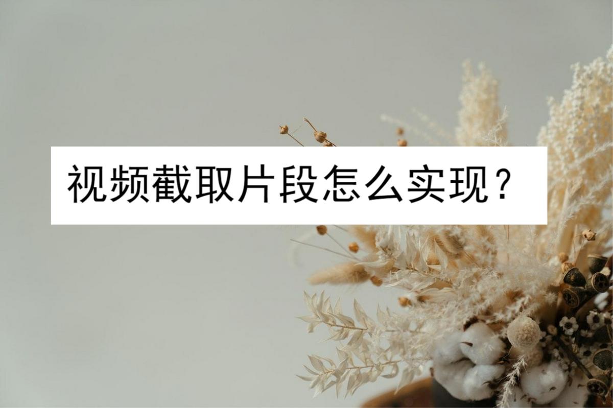 电脑视频截取片段怎么截取的,视频截取片段怎么截取的