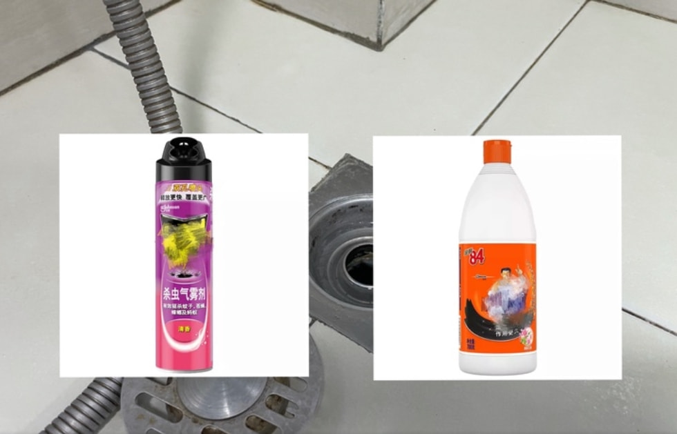 卫生间小飞虫的危害程度超乎你的想象,它究竟是啥?该如何消灭?