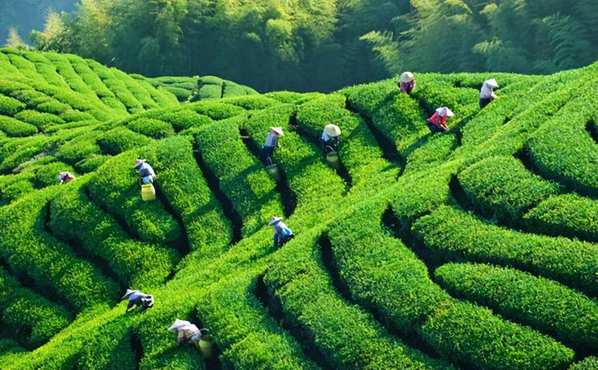 惠州柏塘罗浮山,惠州出发2天一夜旅游攻略图