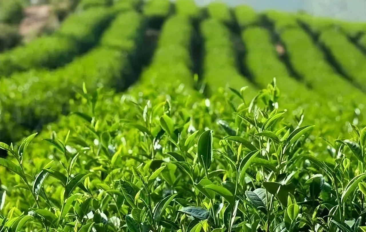 围炉煮茶，让山东好物带你感受冬日专属浪漫！