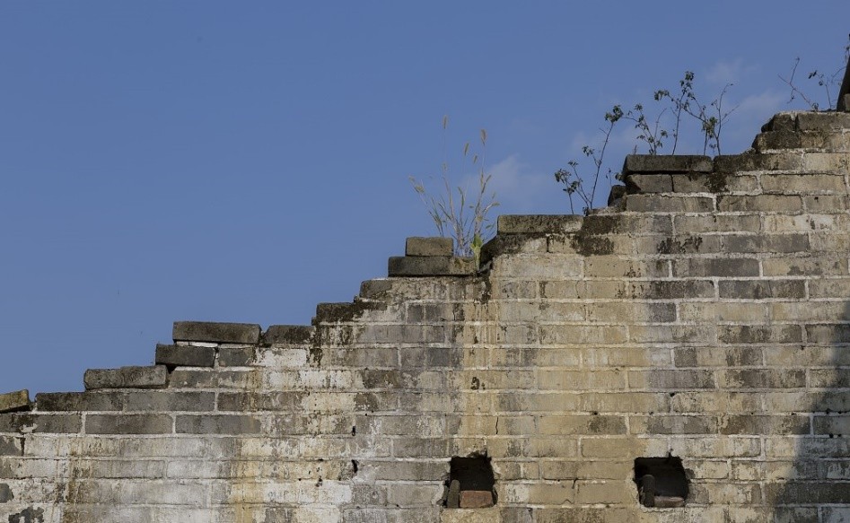 半米宅基地启瓶泯恩仇