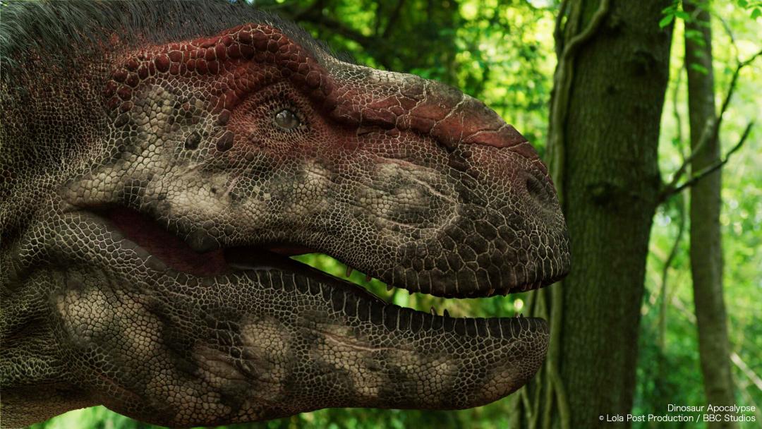 2022年十大必看大片,2022年最震撼视频