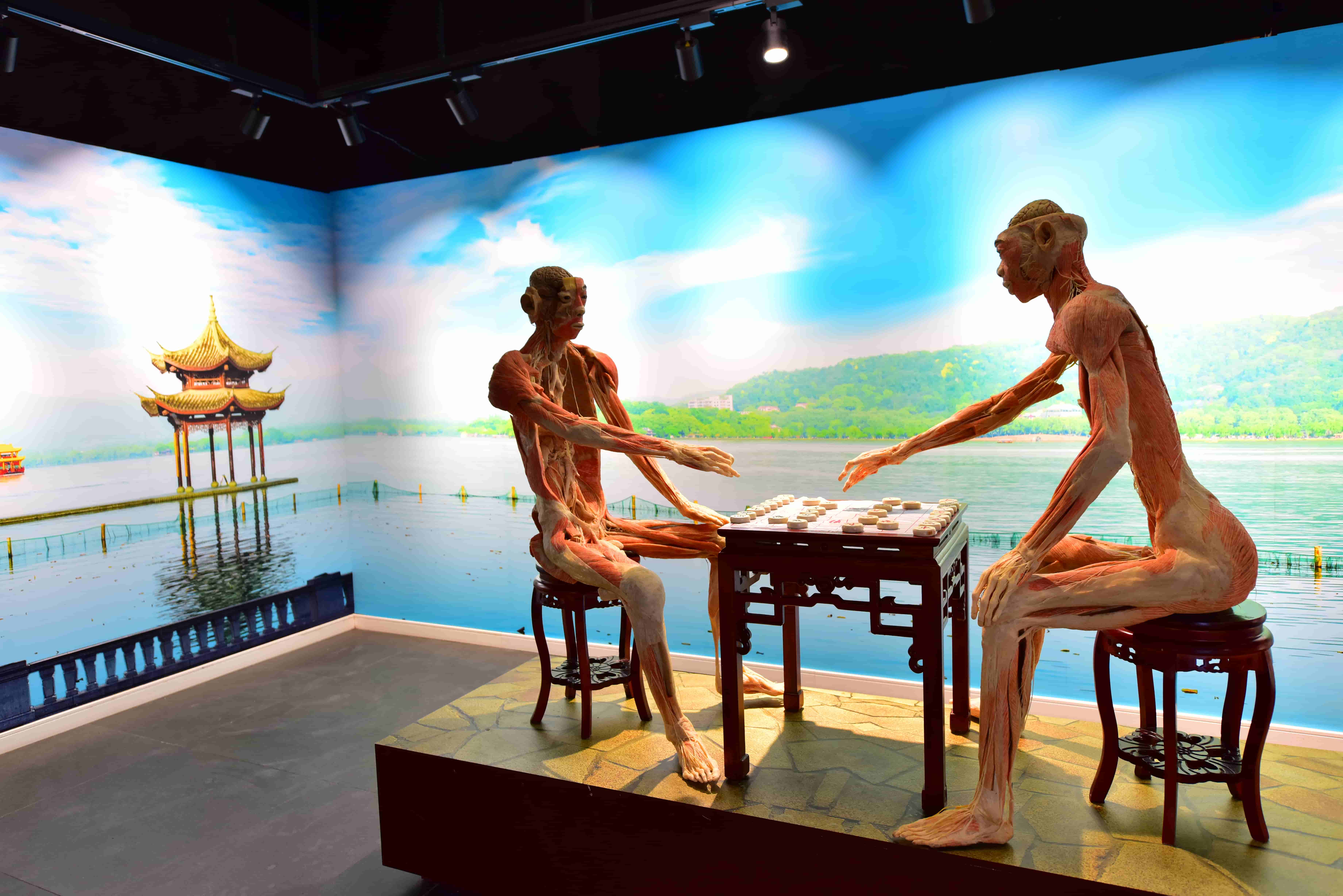 郑州人体科学馆要门票吗,郑州适合带孩子玩的博物馆科技馆