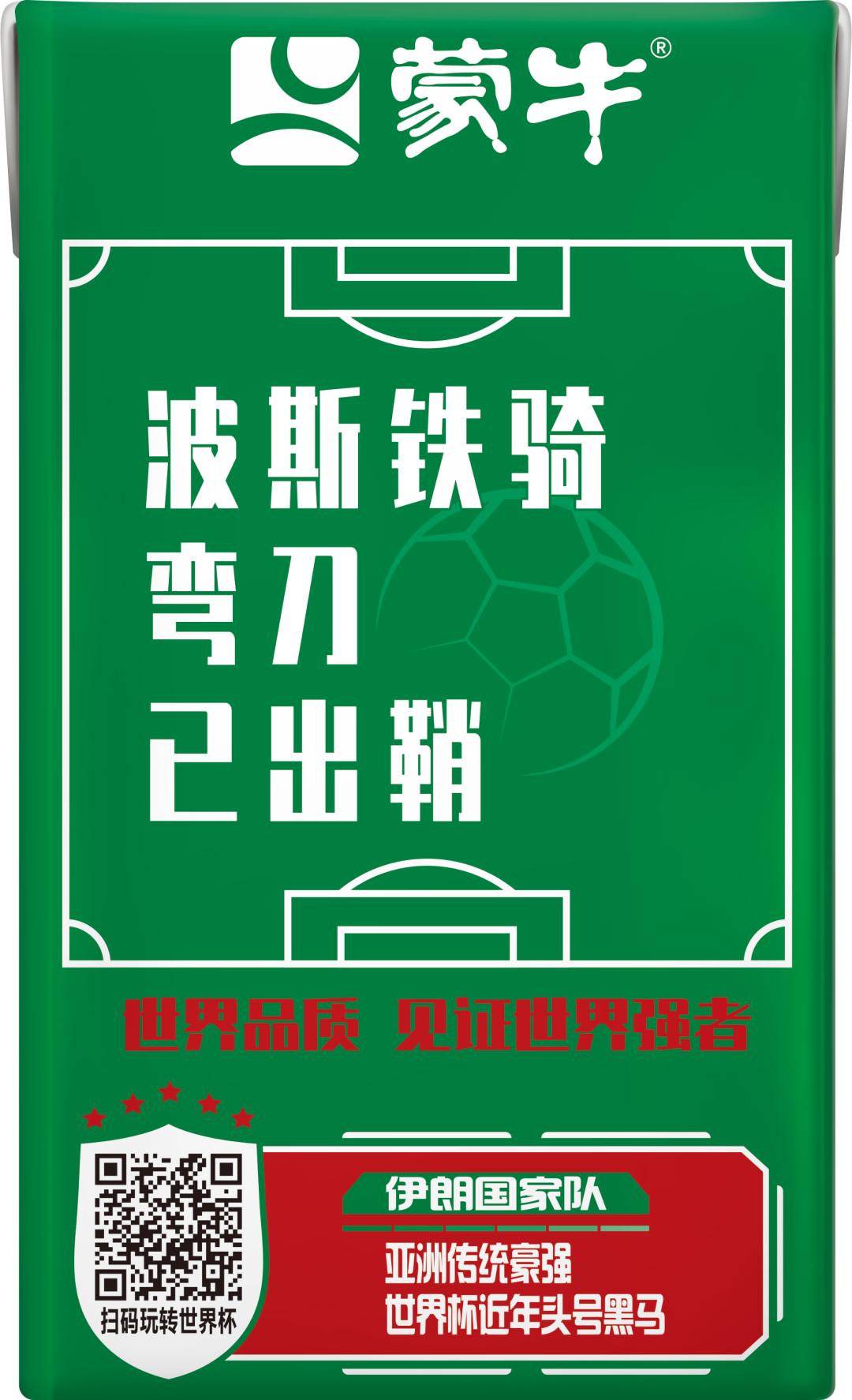 世界杯足球员故事,世界杯队长纪录片第四集