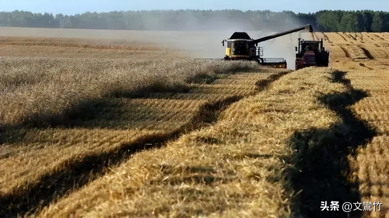 东北小伙海参崴,东北小伙去海参崴创业