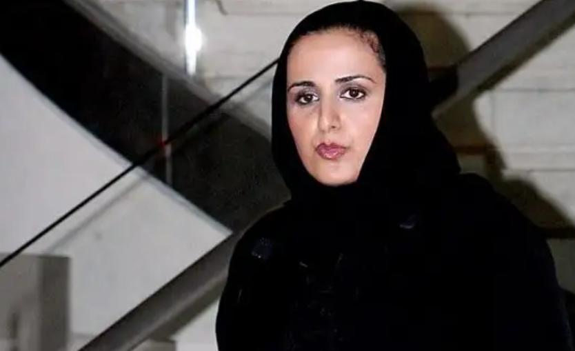 卡塔尔300亿美元,卡塔尔三公主