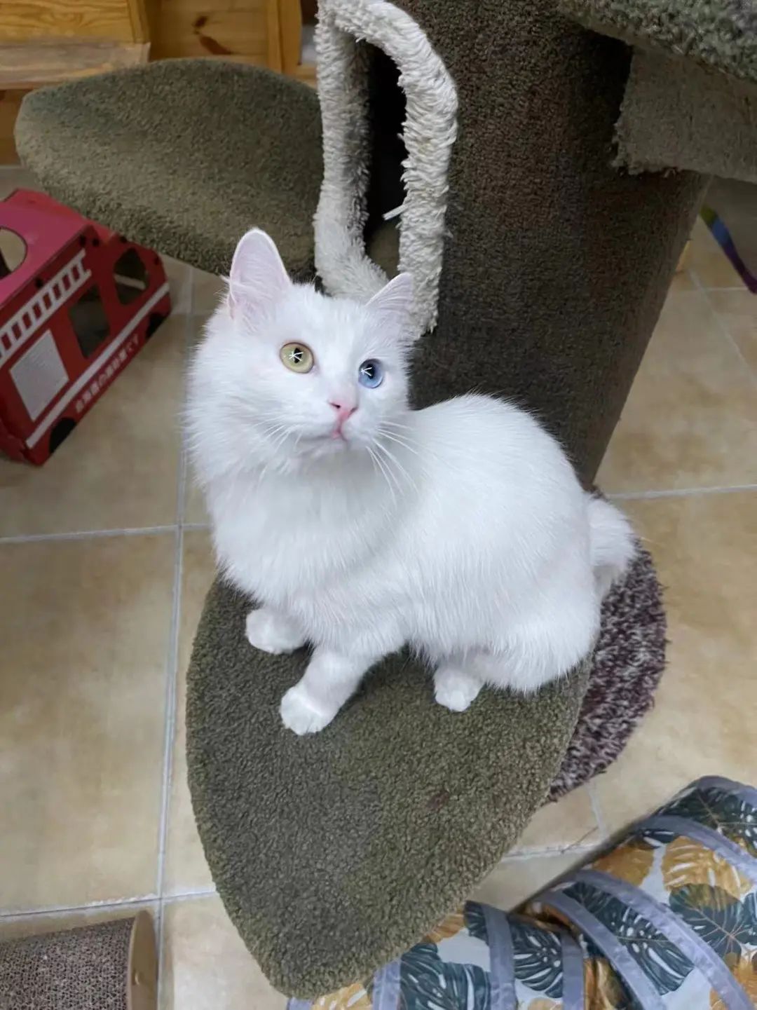 赵明明：上班摸鱼，是我的梦想!