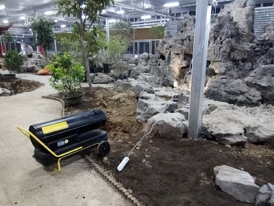 春华秋实农博园摘油桃,春华秋实农博园草莓采摘