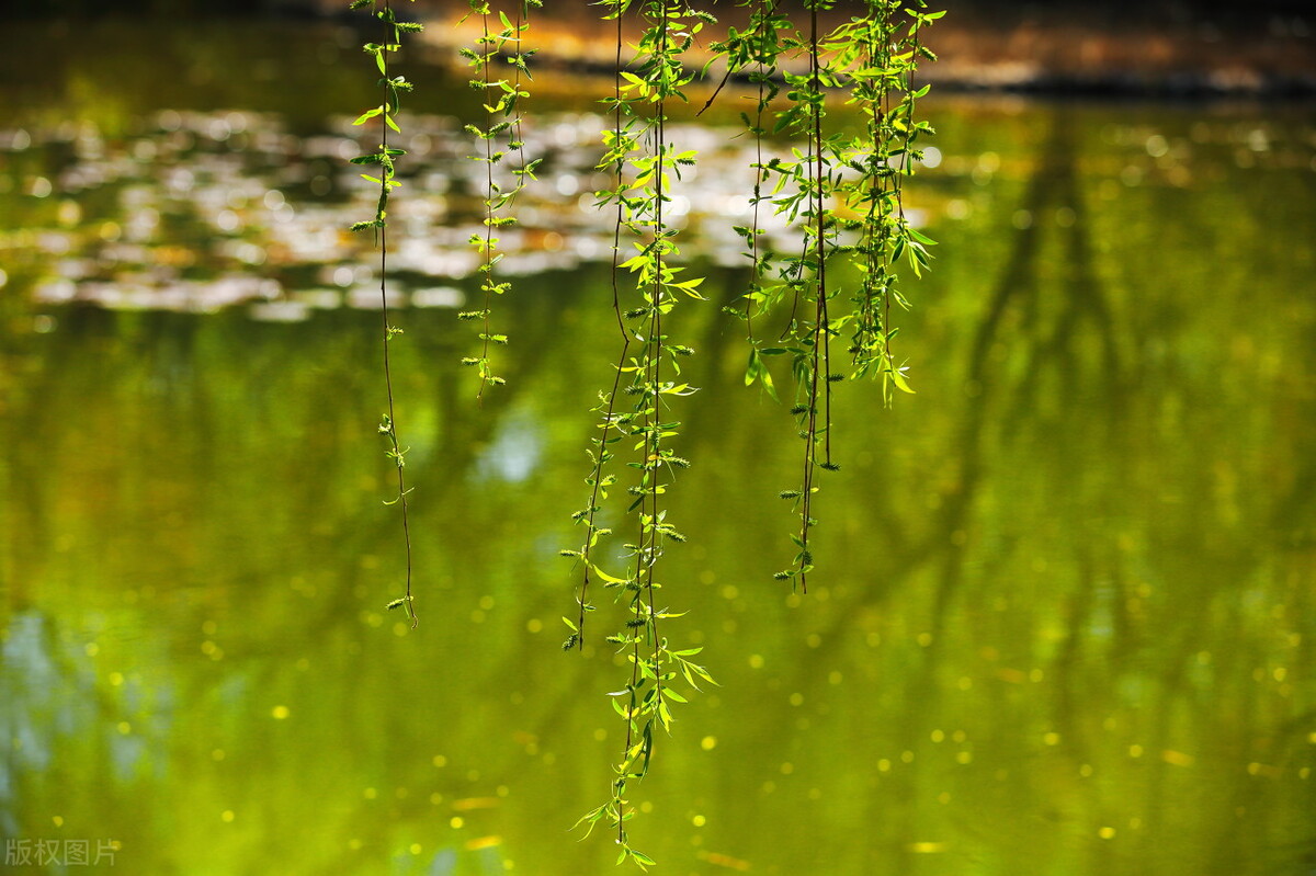 不同月份有什么别称,一到十二月每个月的别称