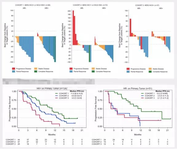 乳腺癌HER2低表达药物,乳腺癌her2强化辅助治疗