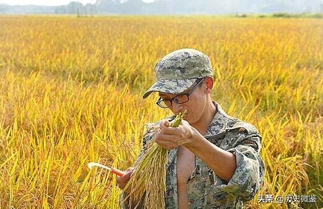 放弃百万年薪回农村种地,放弃30万年薪回农村