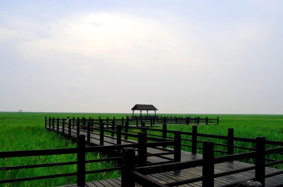 中国第三大岛崇明,我国三大岛屿崇明岛