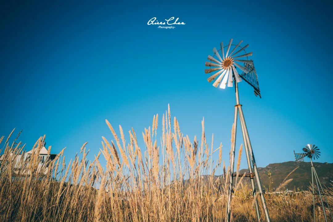 丽江悦榕庄酒店用餐,云南丽江悦榕庄酒店价格