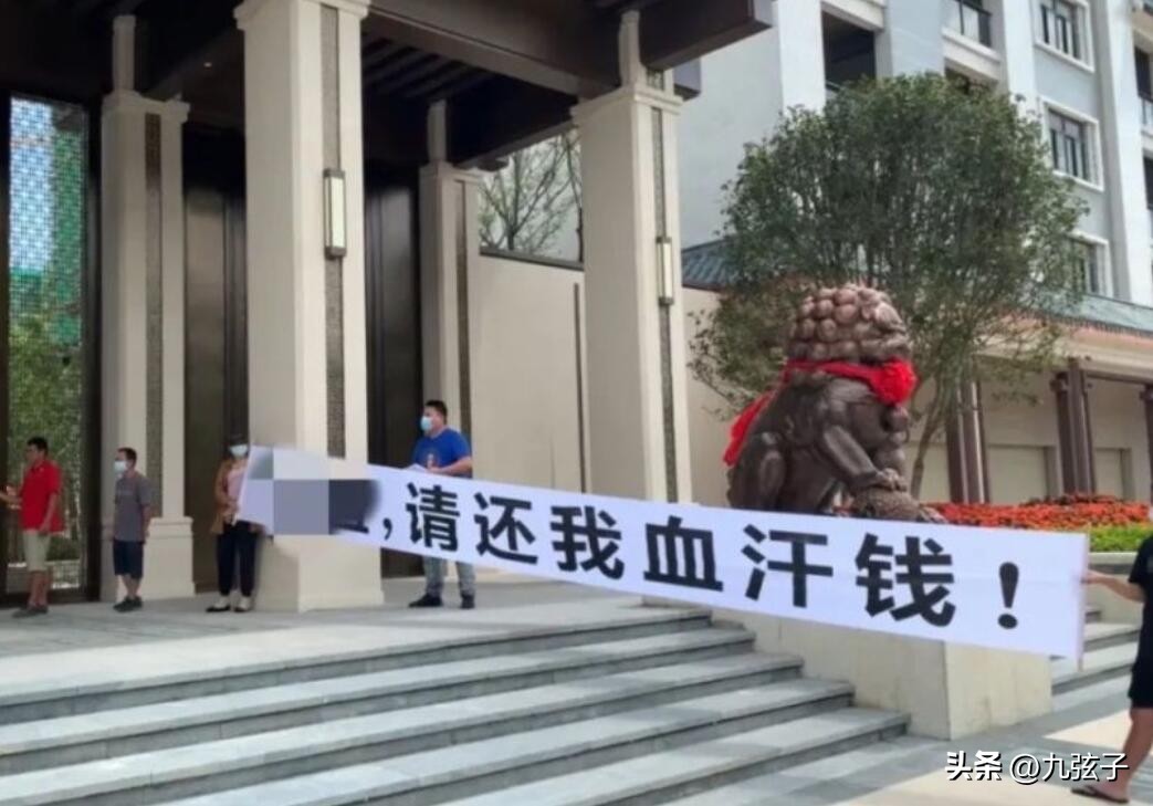 e租宝丁宁后宫,丁宁巅峰时期e租宝