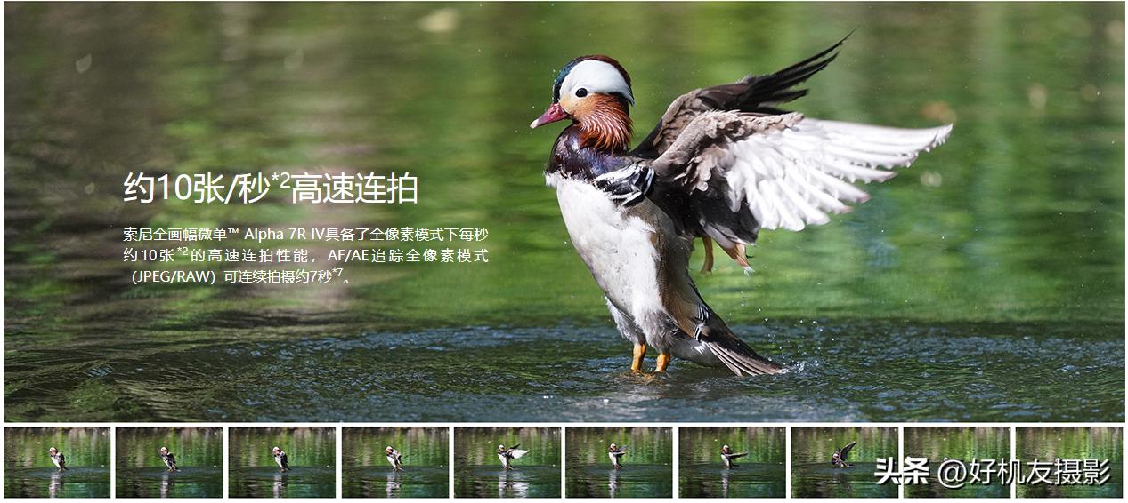 a7r5发布时间,a7r5什么时候发布