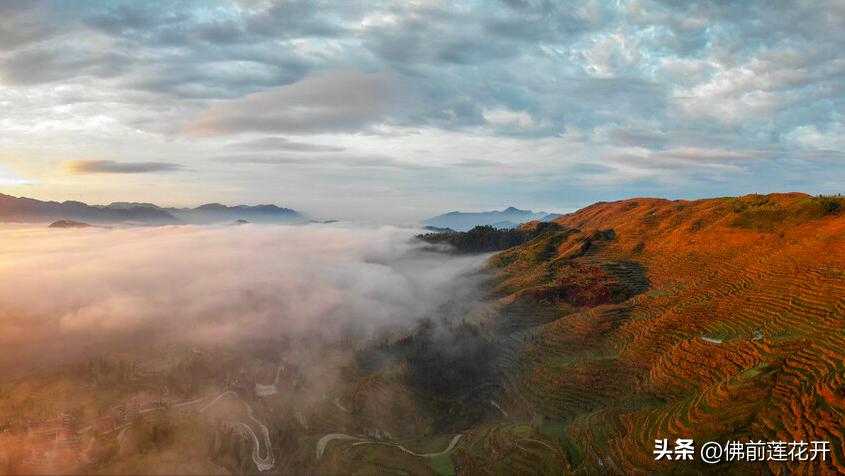 春嫂电影解说,春嫂美食