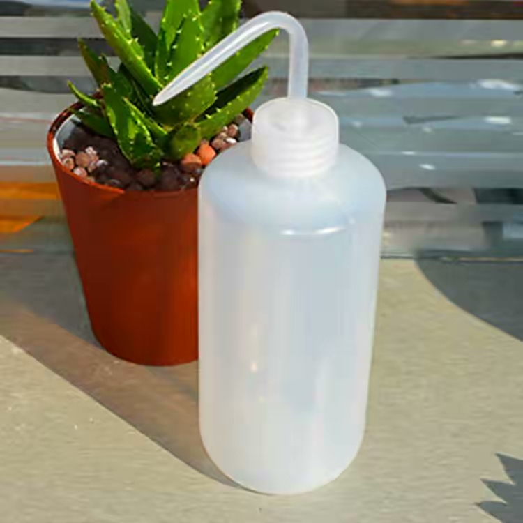 养了一年的生石花你们看品相如何,多肉生石花介绍养护方法推荐