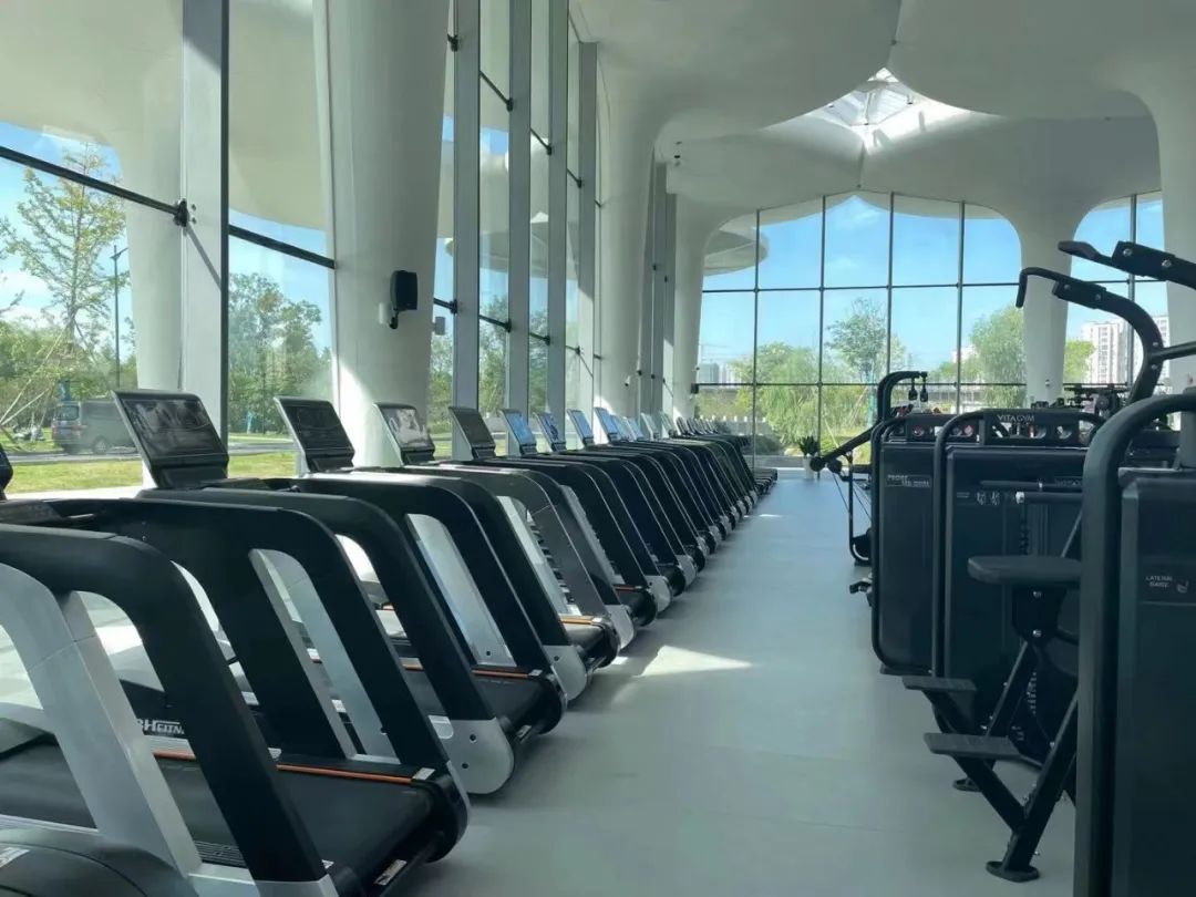 杭州临平粉黛乱子草花海地址,杭州临平30余亩粉黛花海梦幻上线