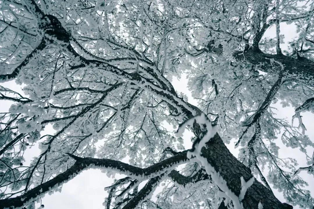 杭州西湖微信头像图片,杭州风景图片头像