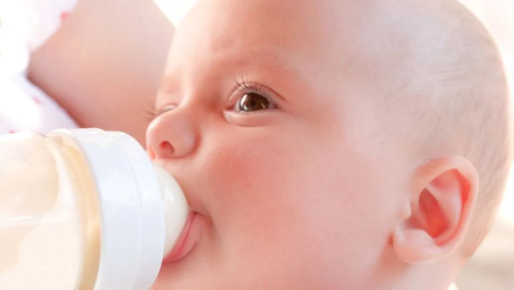 宠物羊奶粉国产口碑最好的前十名,三段羊奶粉口碑最好的前十名国产