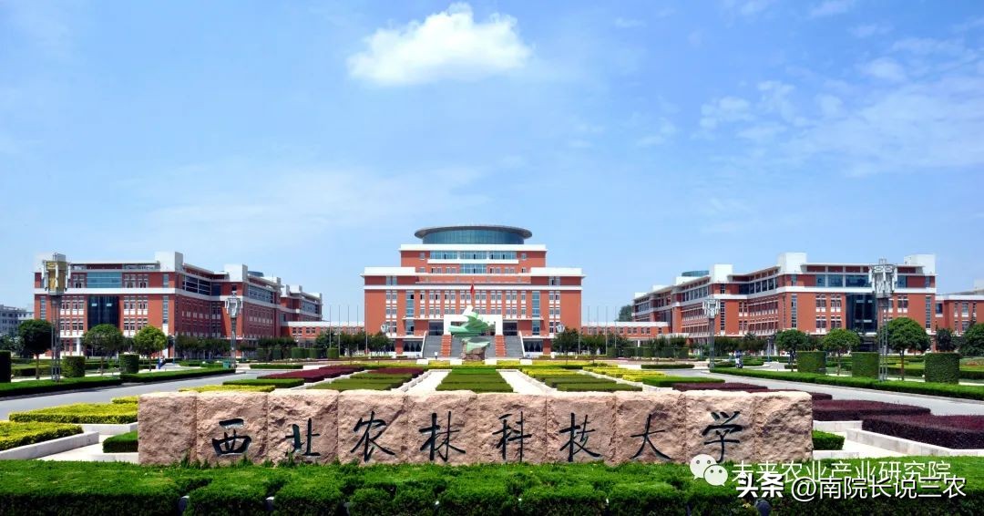 非凡十年中国成就视频,非凡十年中国成就