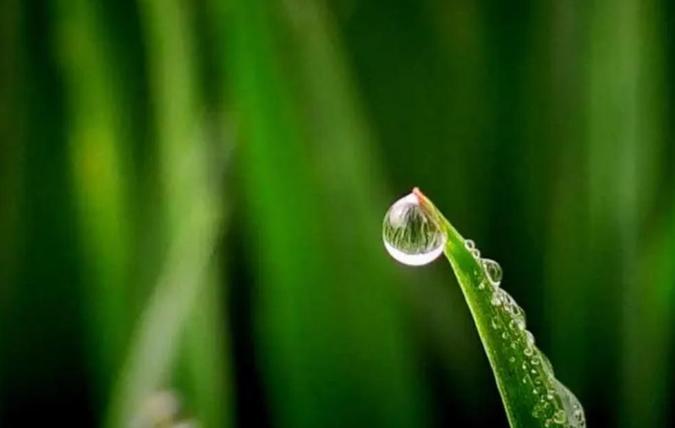 “上坟三不带，福禄自然来”，什么意思？清明节扫墓禁忌要牢记