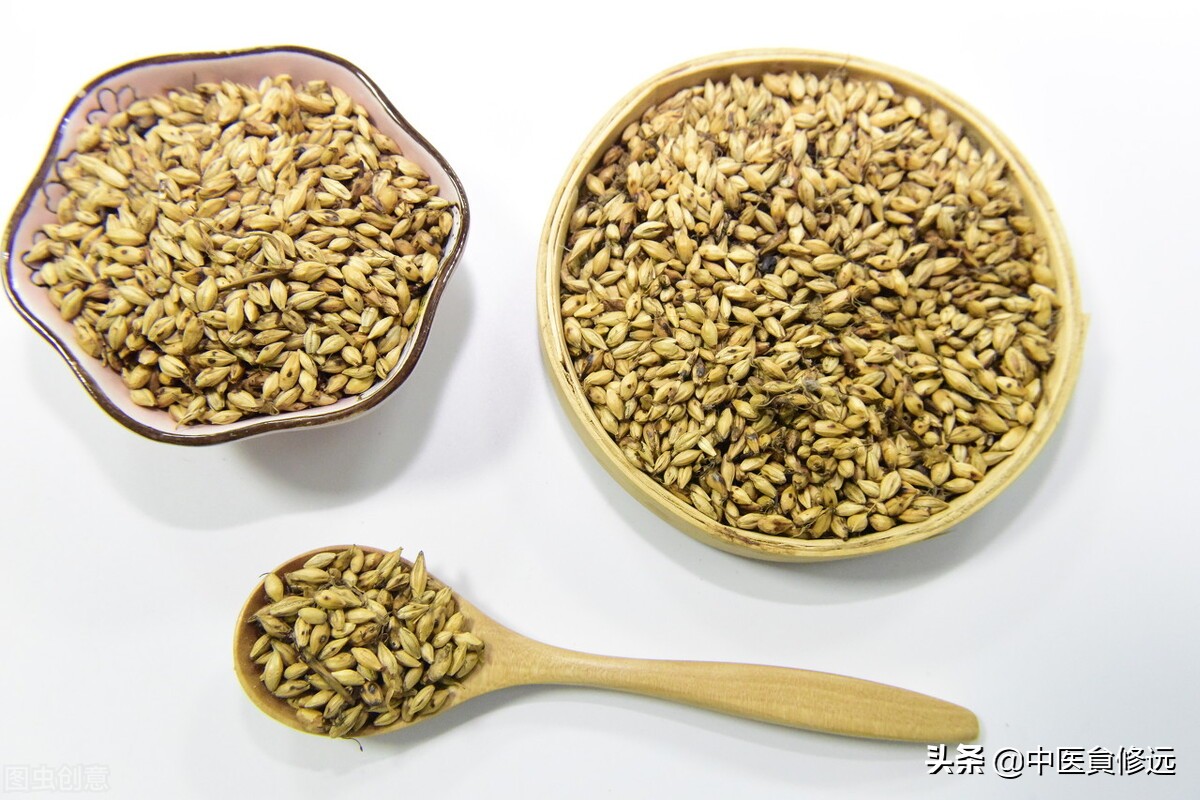 大剂量炒麦芽的妙用——乳头溢液案