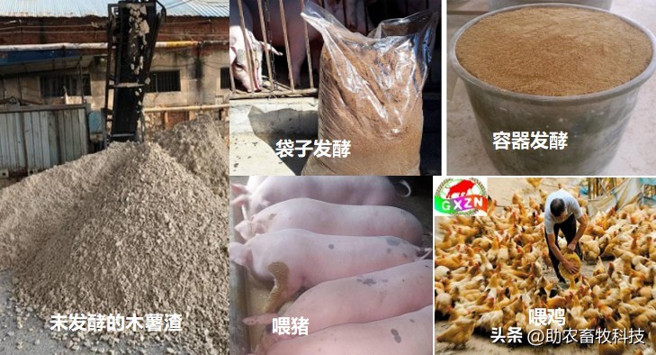 木薯渣喂猪饲料,发酵豆腐渣养鸡饲料
