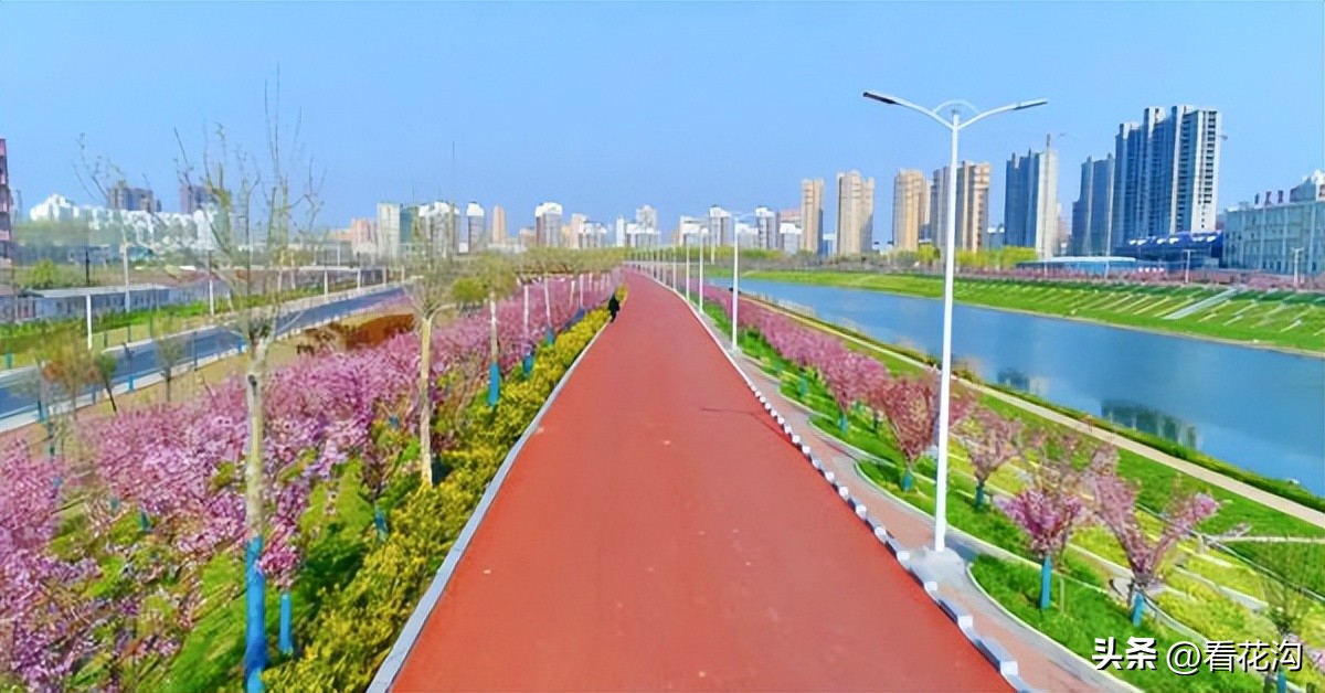 西平县107现在建的啥,1986河南驻马店西平