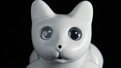 机器猫ai仿生,ai仿生机器