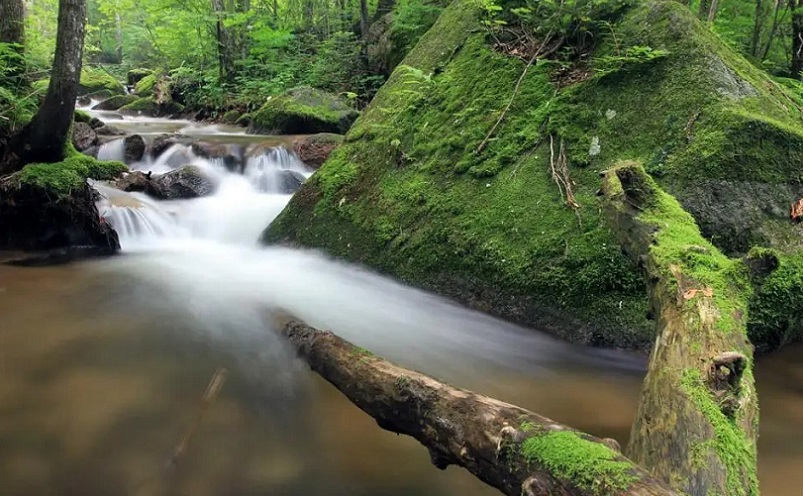 黑龙江冷门旅游城市,黑龙江省五一冷门亲子游