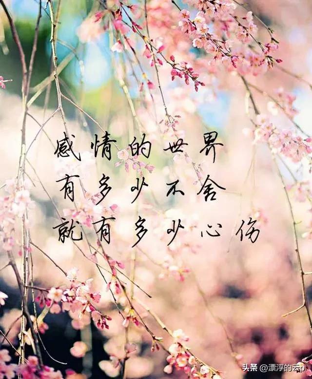 一个女人一生的自述,30岁女人的情感自述